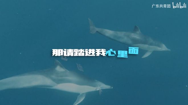 关于污水处理的政协提案_污水处理厂提案_核污水提案