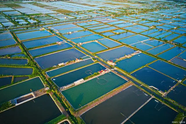 核污水排放方案_排核污水套路_核污水排海插画