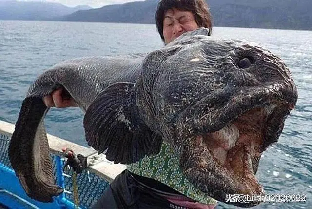 保护海洋核污水海报_海洋污染保护海报_核污染海报设计