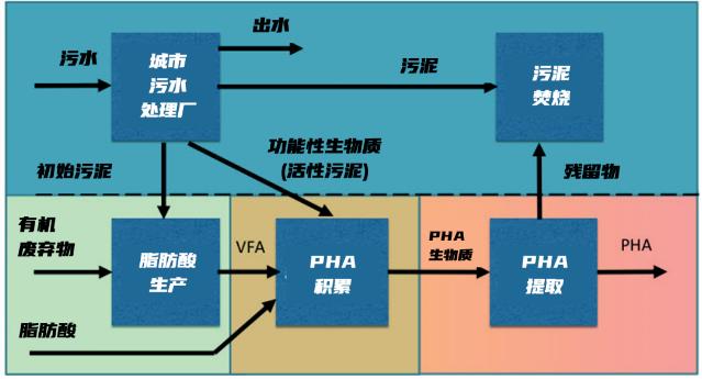 把污泥变成塑料！威立雅“打退堂鼓”的技术，荷兰人又把它捡了起来