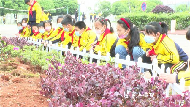 环保口中花_环保花_环保花手工制作大全