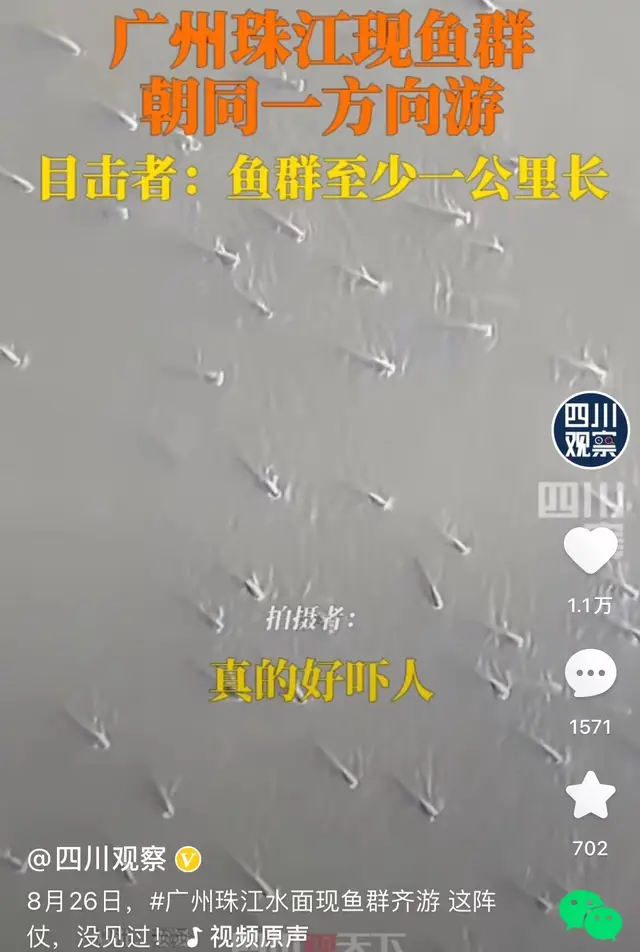 核污水新闻_核污水问题_关于核污水的事件