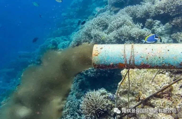 西方环保组织 核污水_西方排放核废水_西方国家核废水