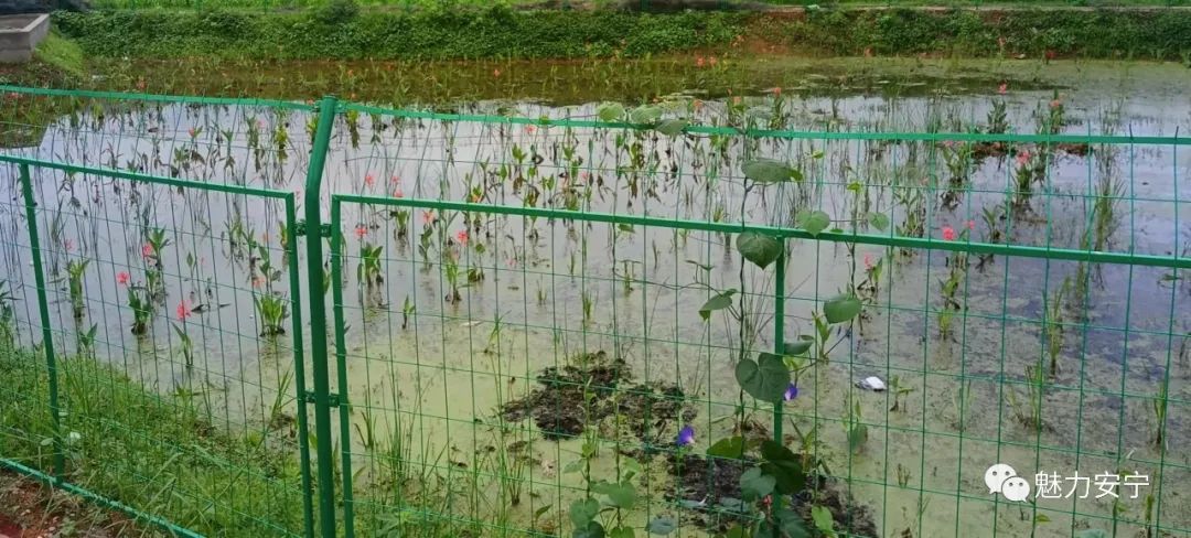 温泉污水处理_污水温泉处理工艺流程_污水温泉处理方法