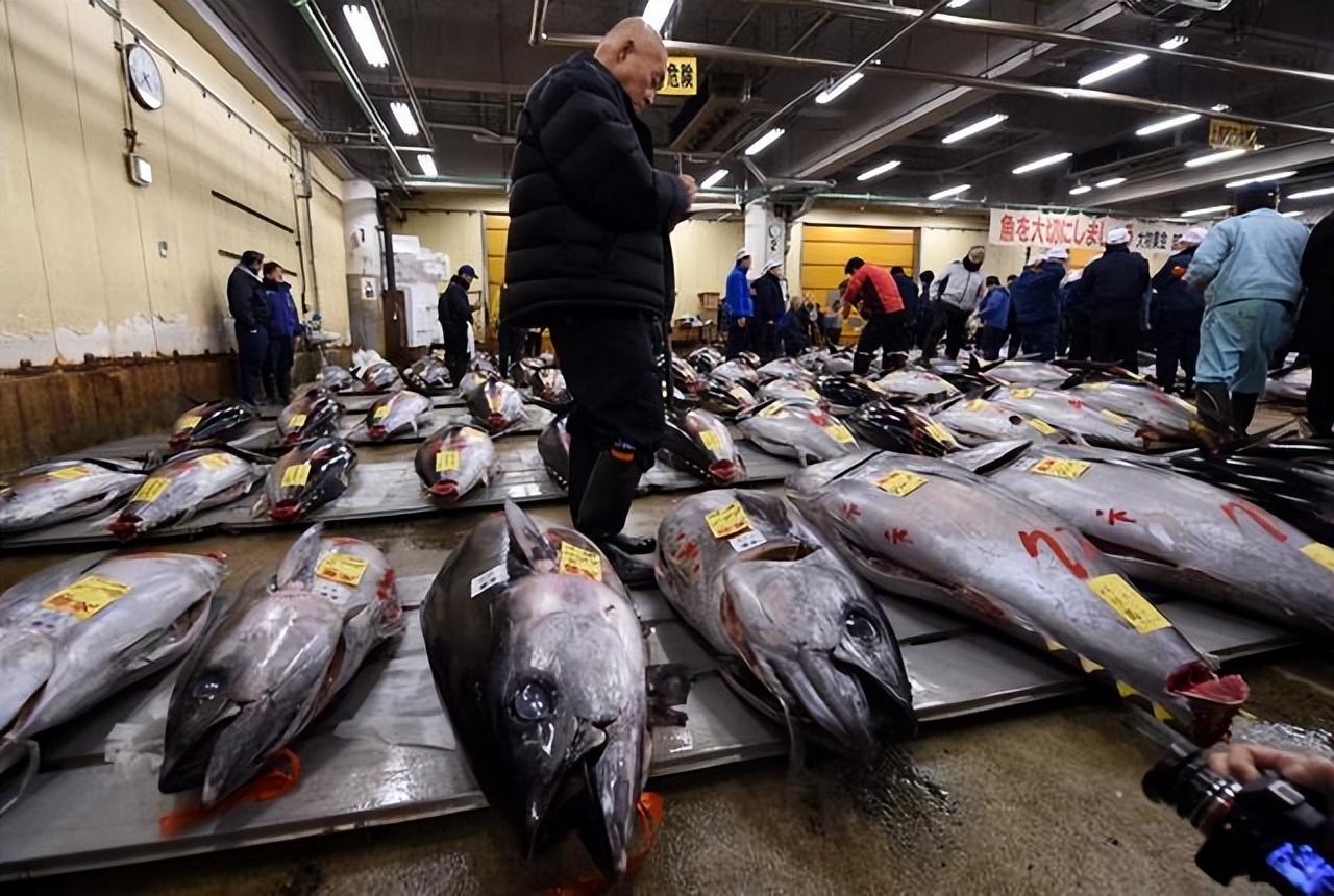 日本核污水持续发酵_日本核污水处理_日本核污水蒸发