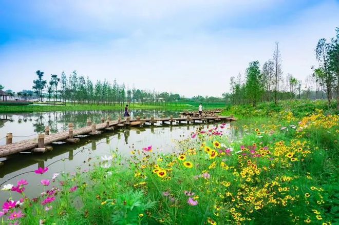 大九污水处理厂_污水厂处理大队职责_污水厂处理大师招聘