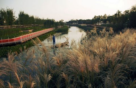 污水厂处理大队职责_大九污水处理厂_污水厂处理大师招聘