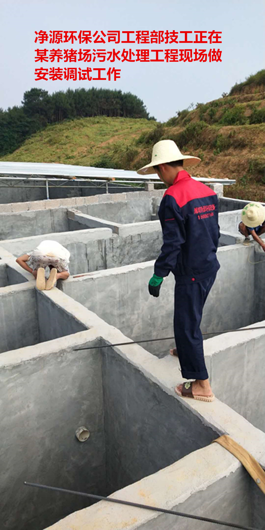 猪场污水处理工艺流程_猪场污水处理员工作内容_猪场污水处理的心得