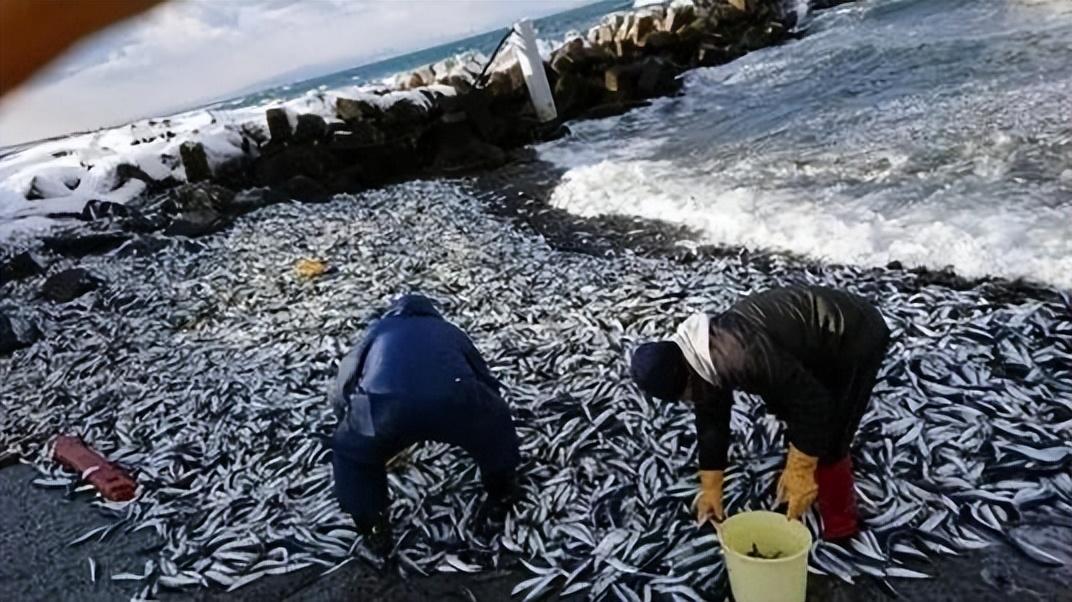 污水处理后排放_日本决定两年后排放核污水_日本两年后排核废水