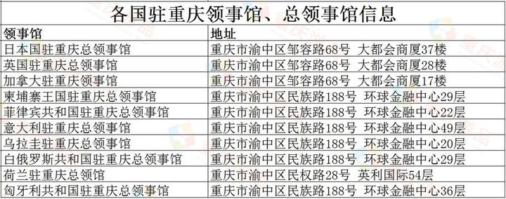 重庆动态公交是什么公司_重庆公交公司是国企吗_重庆公交公司全称