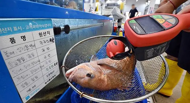 核废水核污水_核废料和核污水相同吗_核污水相同废料的区别