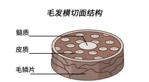 染发的区域_染发环境_染发环境问题