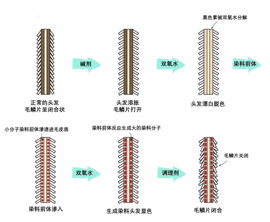 染发环境问题_染发环境_染发的区域