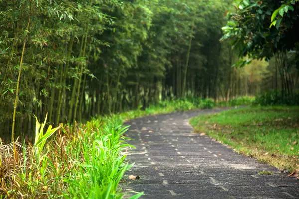 福州高档餐厅环境好的有哪些_福州高档餐厅环境好吗_福州环境好高档的餐厅