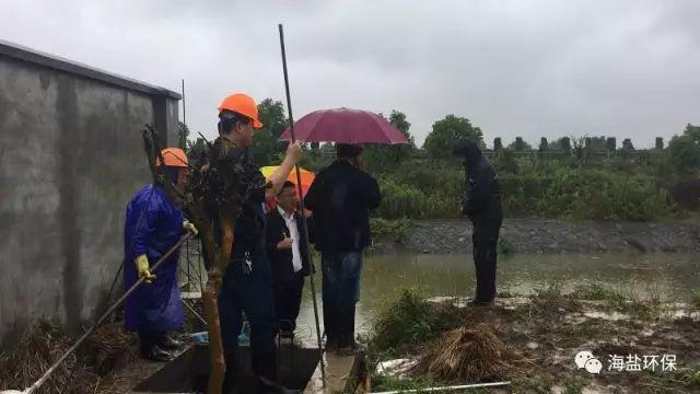 浦江污水处理_浦江污水处理厂_浦江镇污水处理厂