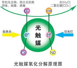 欧洁源除甲醛公司_欧洁源除甲醛公司最新动态_甲醛公司除完甲醛几天能入住