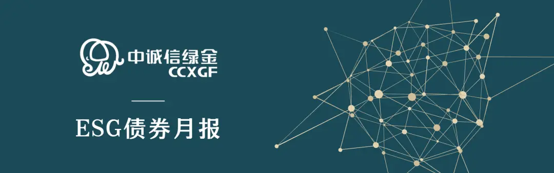 债券发行市场动态_公司债动态发行_债券发行方式动态发行