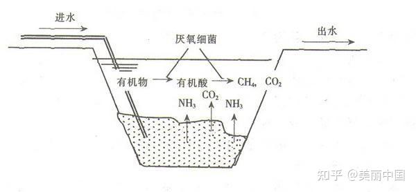 污水处理的工艺有哪些_污水工艺处理有什么作用_污水处理工艺有哪些