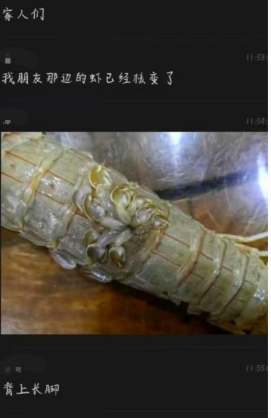 核污水鱼变异_核污水人变鱼_核废水让鱼变异的电影叫什么