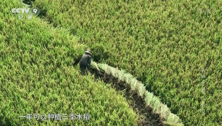 地形对地理环境的影响_地形对地理环境的影响思维导图_地形地理环境影响因素包括