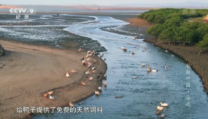 地形对地理环境的影响思维导图_地形对地理环境的影响_地形地理环境影响因素包括