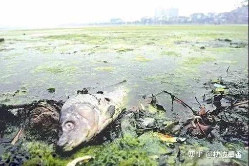 关于污水治理的采访_核污水的新闻采访_采访污水处理一问一答