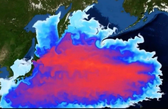 日本排放核污水主要成分_日本排放核污水不考虑自己么_2022年日本核污水排放