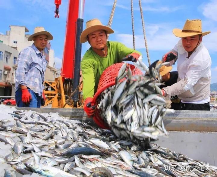 俄对日核污水入海严重关切_核污水处理办法俄罗斯_日本排放核污水和乌俄战争的关系