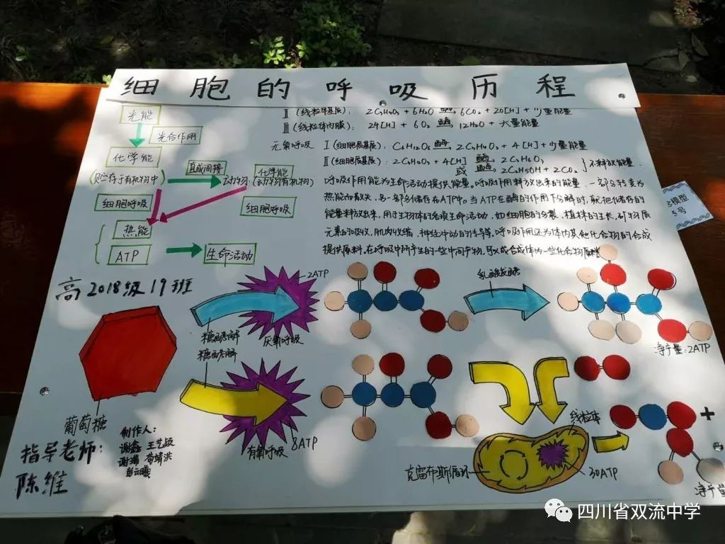 动态模型数学建模_教学动态模型公司_动态模型一般使用哪些数学工具