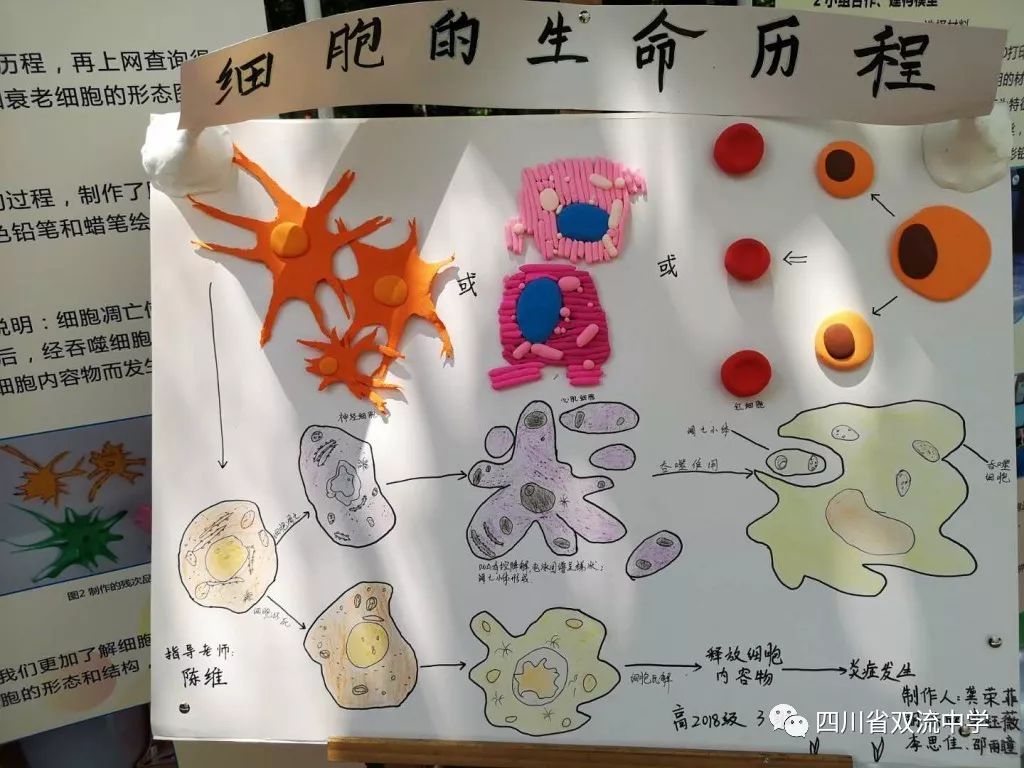 动态模型数学建模_教学动态模型公司_动态模型一般使用哪些数学工具