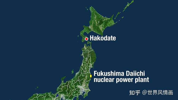 日本排放核污水的海域死了多少鱼_日本排放核污水的鱼_日本核污水入海鱼变异