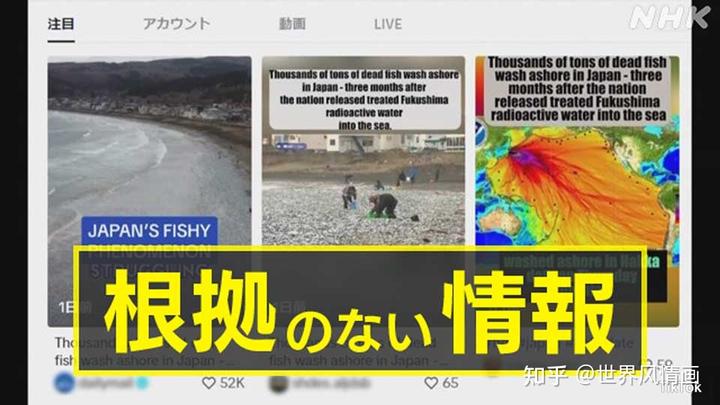 日本核污水入海鱼变异_日本排放核污水的海域死了多少鱼_日本排放核污水的鱼