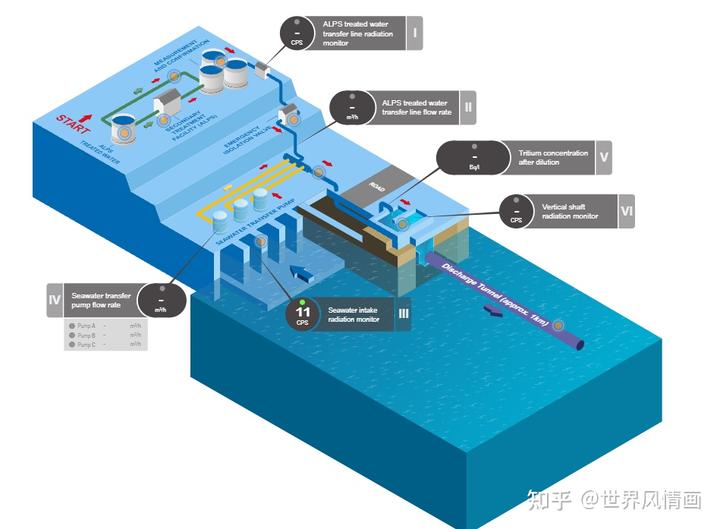 日本排放核污水的鱼_日本核污水入海鱼变异_日本排放核污水的海域死了多少鱼