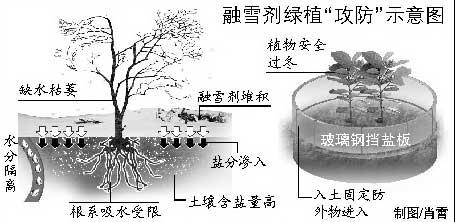 城市污水处理车_污水处理车属于什么车辆类型_市政污水处理车