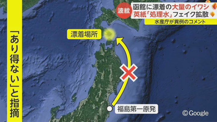 日本核污水或入海鱼还能吃吗_日本核污水入海鱼变异_日本排放核污水的海域死了多少鱼