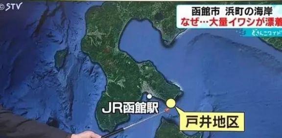 日本核污水入海鱼变异_日本排放核污水的海域死了多少鱼_日本核污水或入海鱼还能吃吗