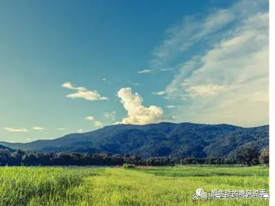 核污水重返未来_核污水重返未来_核污水重返未来