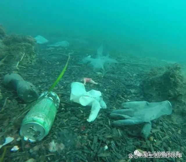 核污水重返未来_核污水重返未来_核污水重返未来