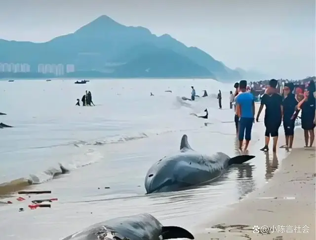 核污水重返未来_核污水重返未来_核污水重返未来