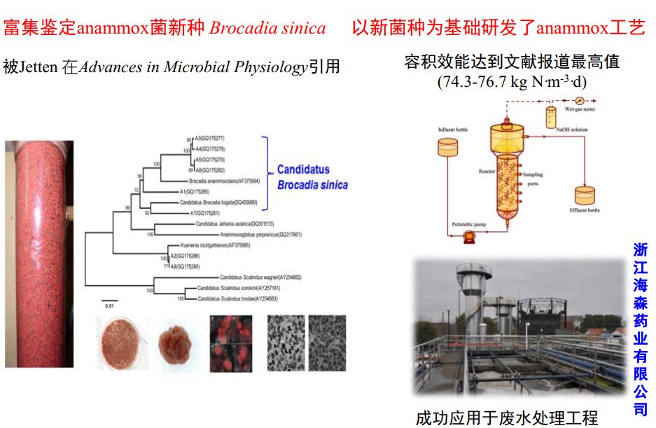 国家对污水处理_我国十分重视污水处理技术_污水处理技术颠覆性突破