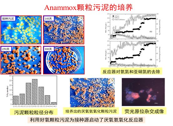 国家对污水处理_我国十分重视污水处理技术_污水处理技术颠覆性突破