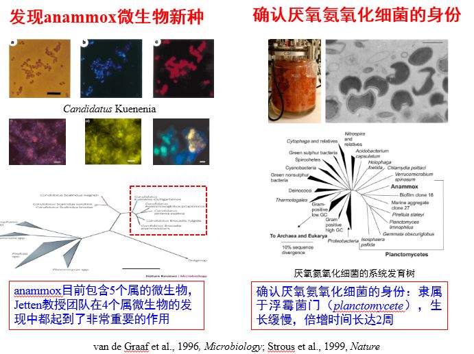 污水处理技术颠覆性突破_国家对污水处理_我国十分重视污水处理技术