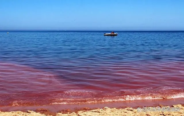 污水降低氨氮处理方案_污水处理怎么降低氨氮_污水降低氨氮处理措施